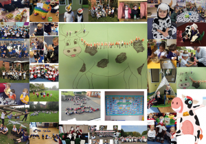 World School milk day collage