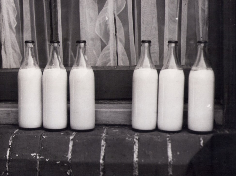 Black and white photo of glass milk bottles used for school milk programs